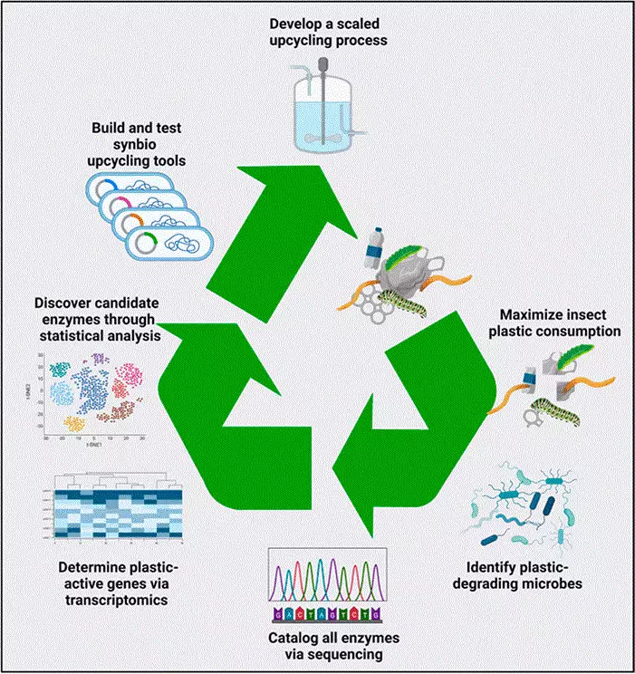 Klauer et al fig 1.gif