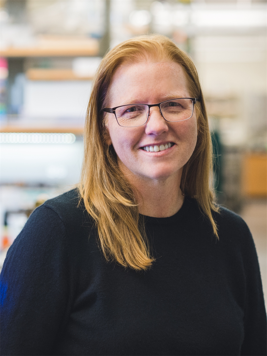 Dr. Kristi S. Anseth 